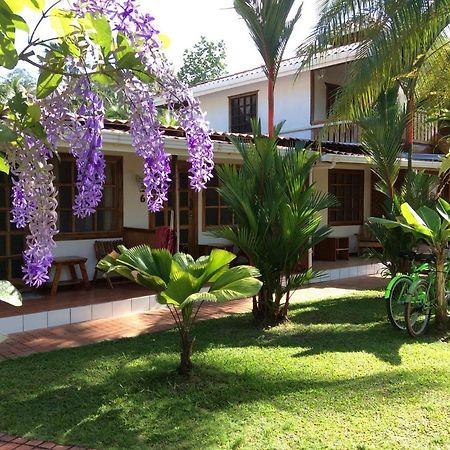 Posada Nena Caribe Puerto Viejo de Talamanca Extérieur photo
