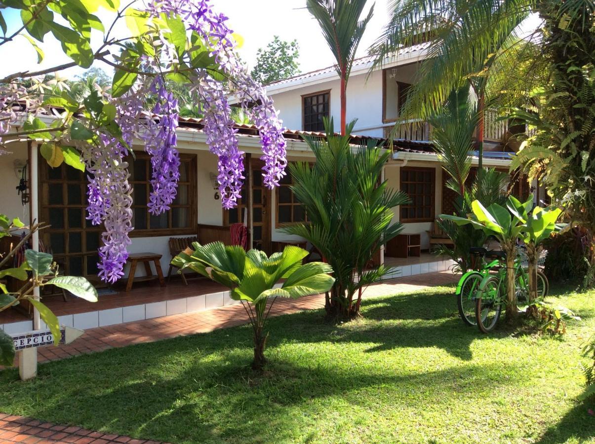 Posada Nena Caribe Puerto Viejo de Talamanca Extérieur photo